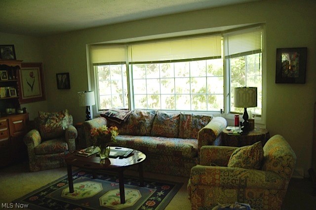 Tanglewood Condo - Residential