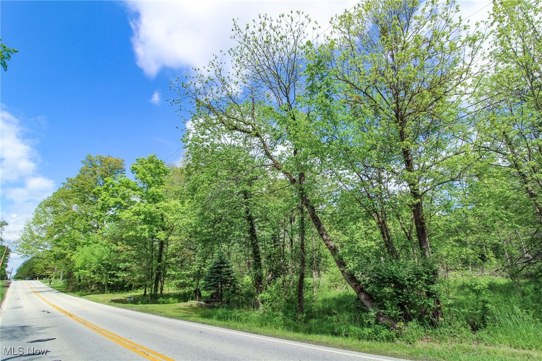 Norton Road, Hudson, Ohio image 32