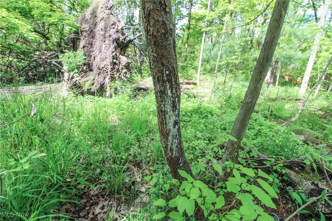 Norton Road, Hudson, Ohio image 24