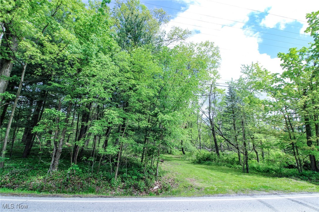 Norton Road, Hudson, Ohio image 28