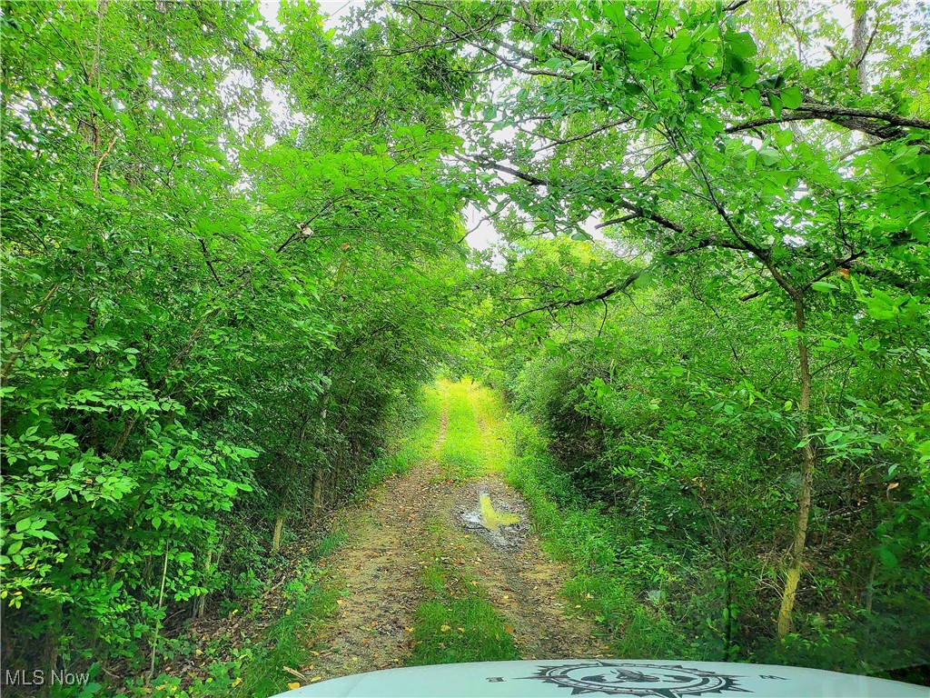 Mayle Ridge Road, Cutler, Ohio image 4