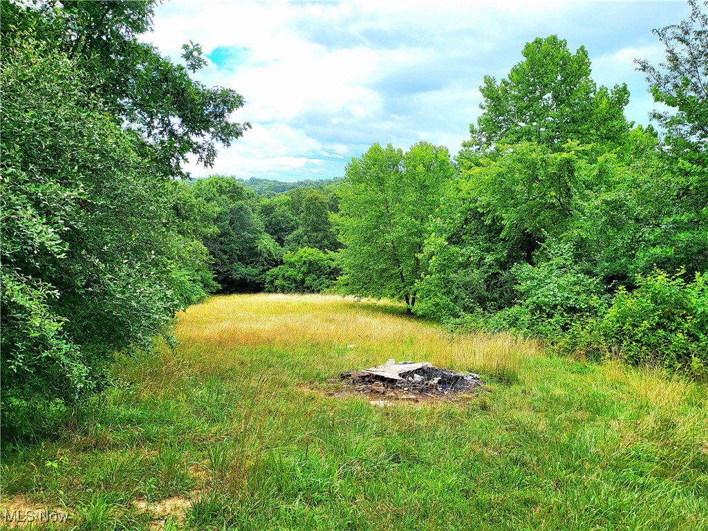 Mayle Ridge Road, Cutler, Ohio image 12