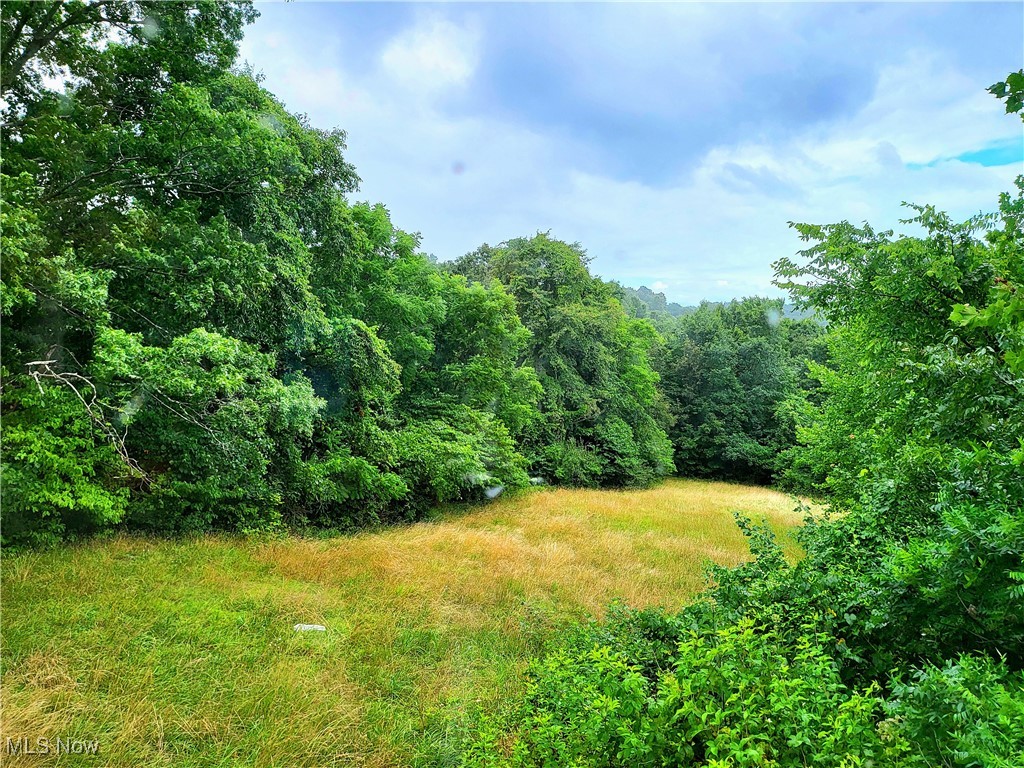 Mayle Ridge Road, Cutler, Ohio image 1