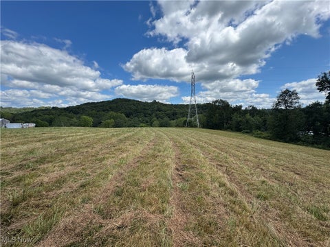 Vacant Land For Sale - 2125 Long Road<br/> Chandlersville, OH 43727
