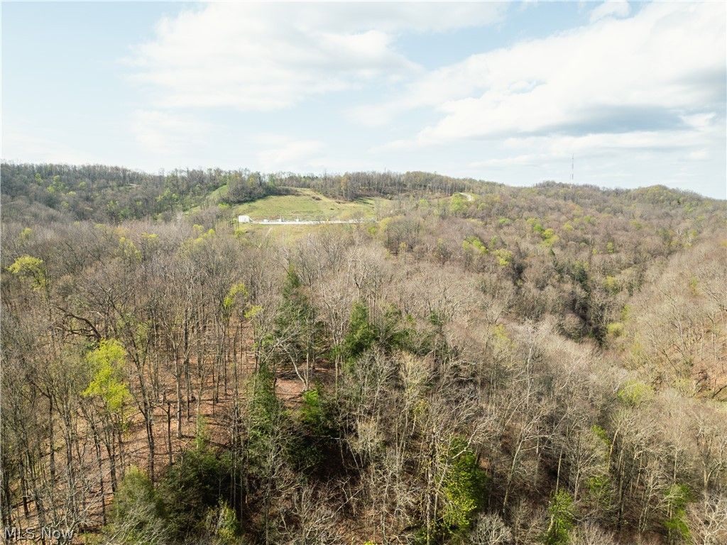 Photo of E Captina Highway Road, Alledonia, OH 43902 (MLS # 5206053)