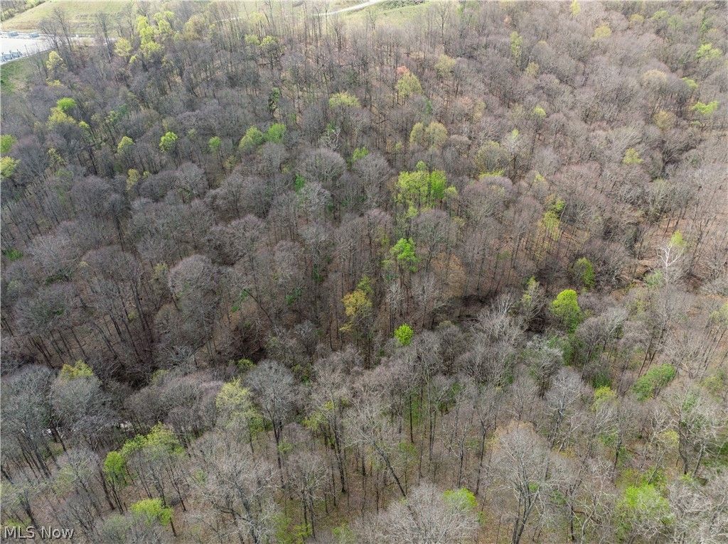 Photo of E Captina Highway Road, Alledonia, OH 43902 (MLS # 5206053)