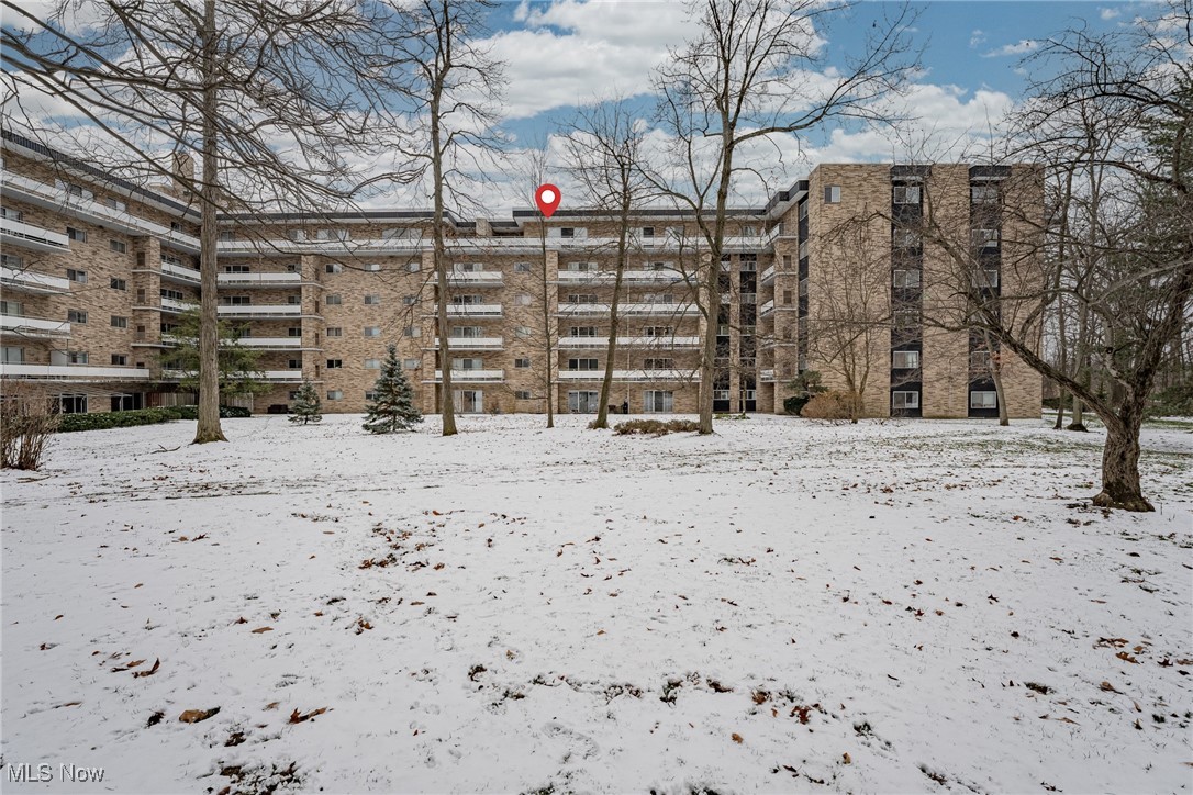 Acacia/Green Condo - Residential