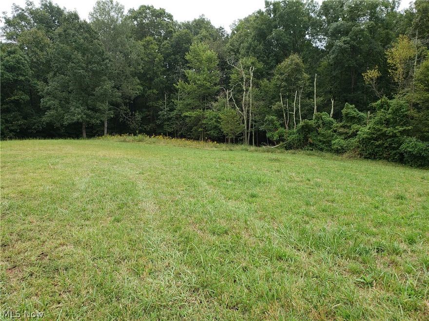 Beautiful rolling 5 plus acres with over 400 feet of hard road frontage- country living atmosphere, but close to cities. Mostly cleared pasture land with wooded area-ready for yours dream home in Warren school district. Electric avaliable.