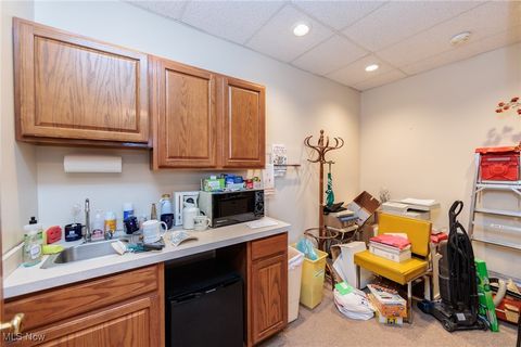 Tiny photo for Sheffield Village, OH 44035 (MLS # 5179245)