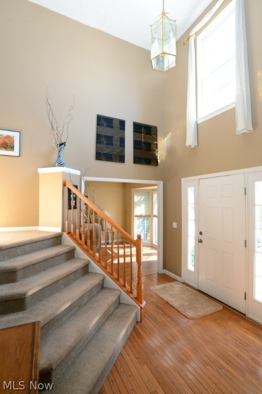 Falls Pointe - Residential