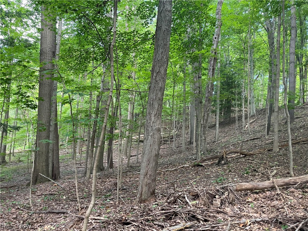 Northampton - Residential