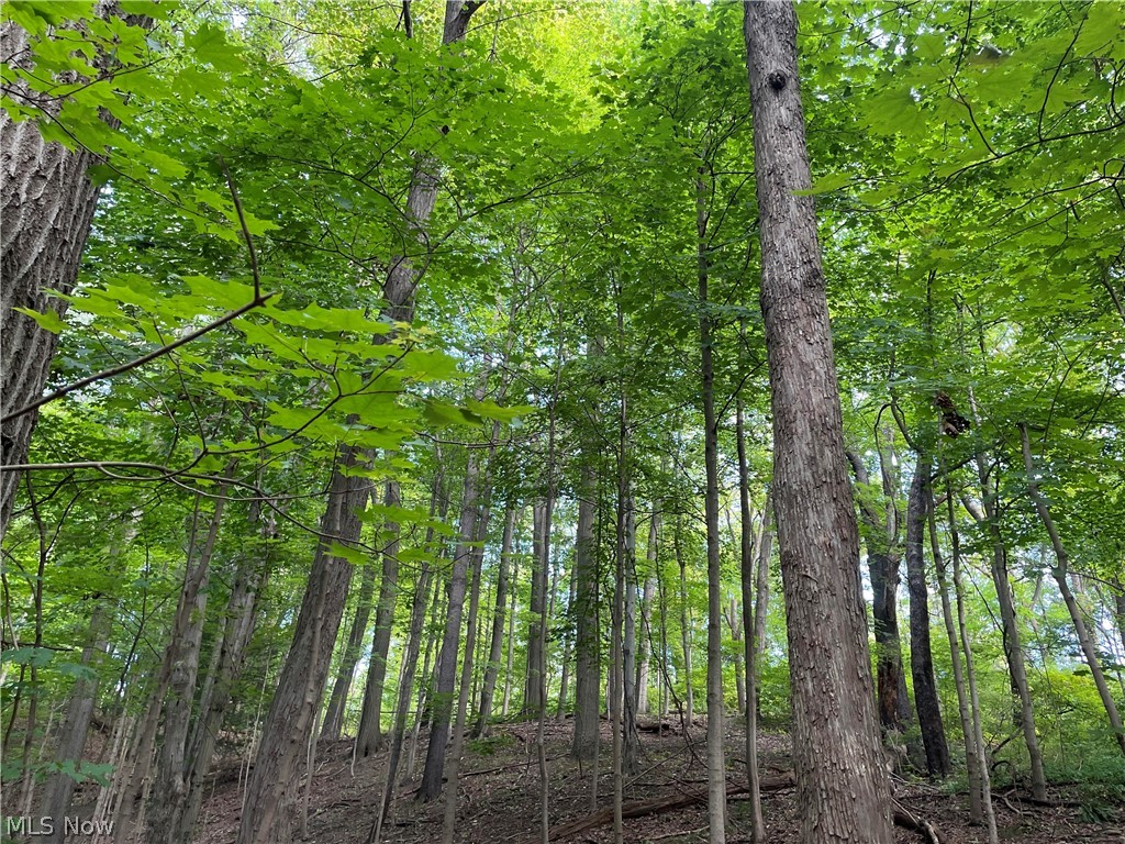 Northampton - Residential