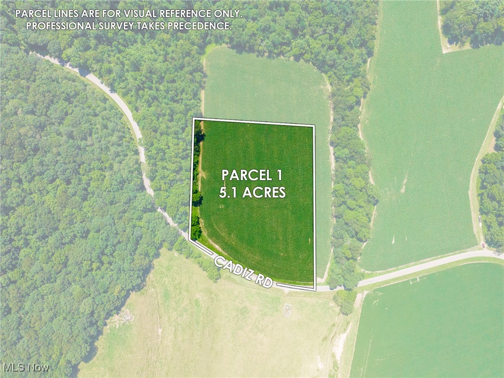 On-site auction Wednesday, September 10th at 6:00 PM. 5.1 Acres that is currently being farmed but could easily be turned into a dream home site or maybe that cabin/Airbnb that you have been dreaming about. 433’ frontage on TR 257. A very nice level lot.