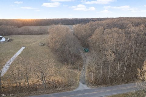 Photo of Wayland Road, Diamond, OH 44412 (MLS # 5191883)