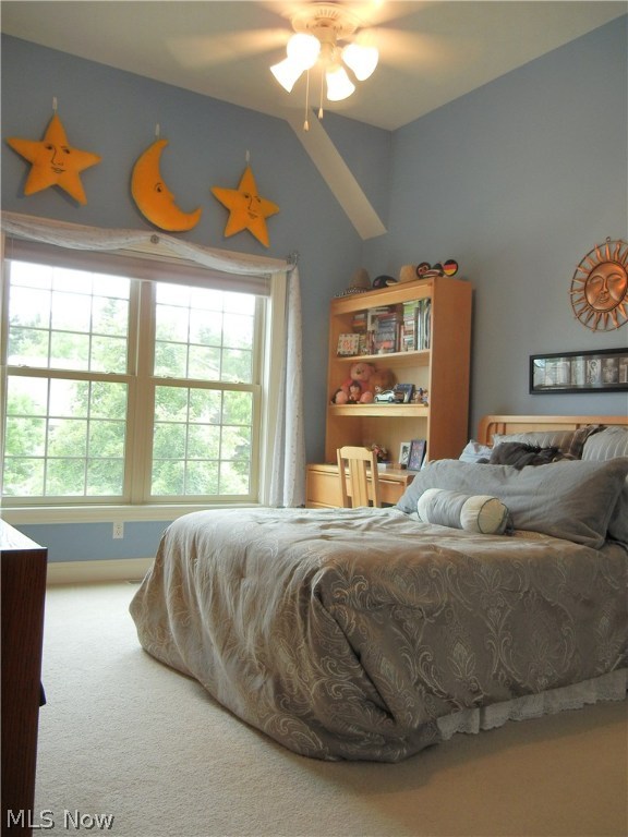 Ashley Oaks - Residential