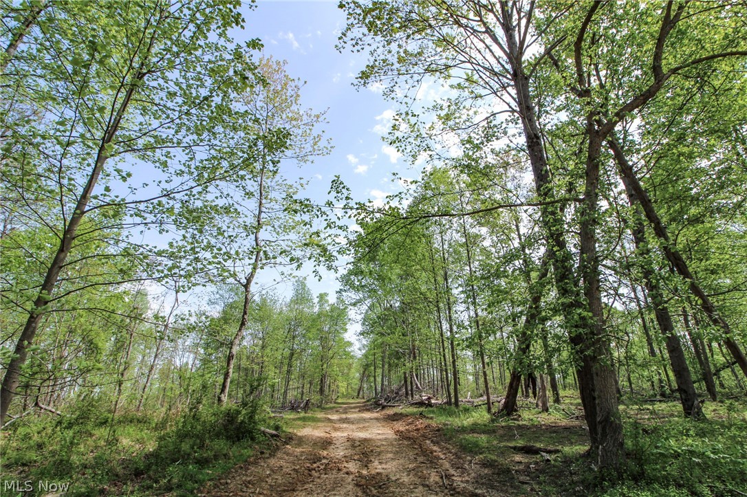 Tract 8 Happy Hollow Road, Waverly, West Virginia image 3