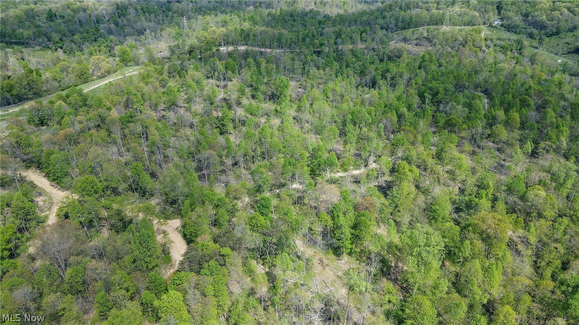 Tract 8 Happy Hollow Road, Waverly, West Virginia image 9