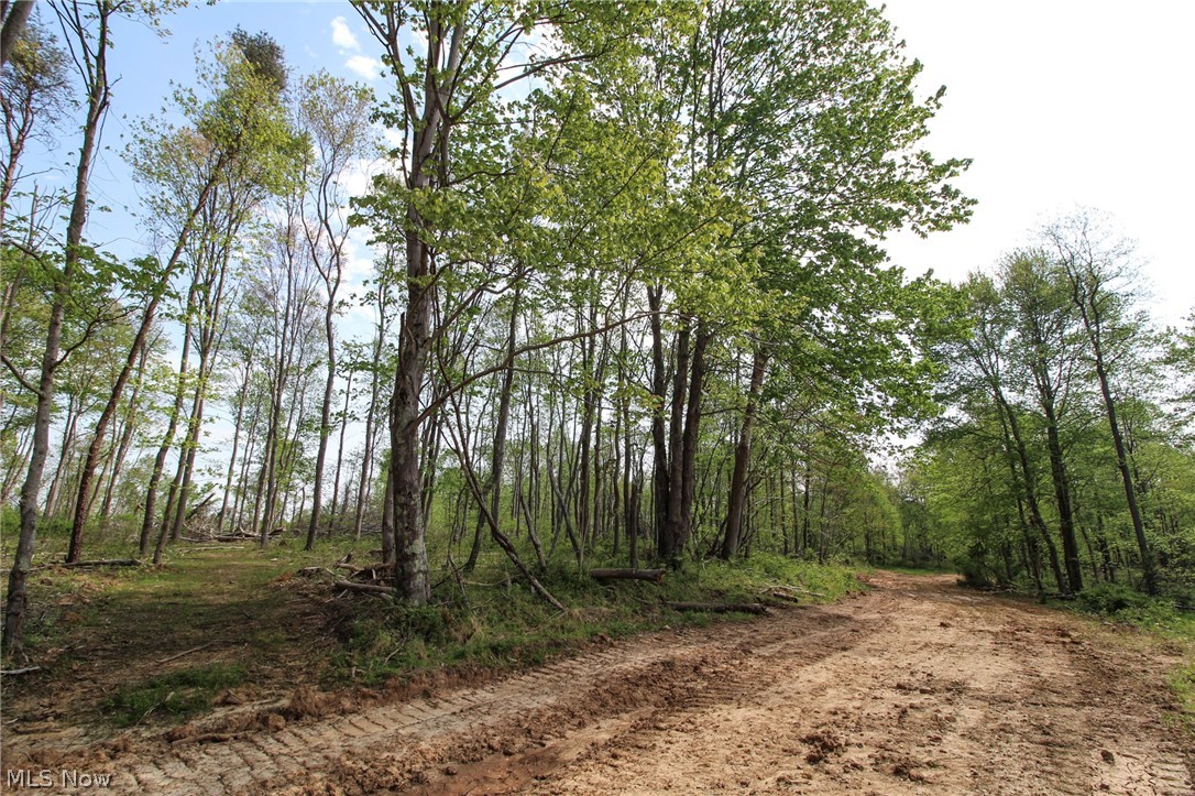 Tract 8 Happy Hollow Road, Waverly, West Virginia image 2