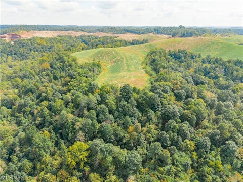 Vacant Land For Sale - 37500 Goose Run Road #3<br/> Noble County, Dexter City, OH 45727