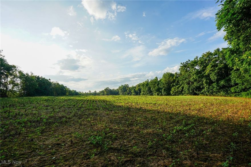 17 +/- acres for sale in Perry County, Ohio. Lot 6 of Walnut acres subdivision. Located just outside of the quaint small town of Somerset, Ohio and a easy commute to Columbus. The perfect place for you new home. 

Features of this property include:

- 17 +/- total acres 
- Property is mostly wooded 
- Some tillable
- Good mix of hardwoods
- Gorgeous building site 
- Some trails for access
- Shared driveway with maintenance agreement in place
- Great hunting opportunities 
- Plenty of wildlife and deer sign throughout
- Some protective covenants in place to protect the value and integrity of the land
- Topography is mostly rolling 
- Soil test have been completed and approved
- Additional lots available 

You do not want to miss this opportunity. A gorgeous property and building site in a great location. Come enjoy the peace and quiet of the country. This property will not last long. Annual taxes to be determined once transfered. Call today with any questions or interest, I will be happy to show you around.