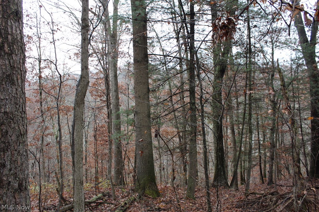 11 acres for sale in Washington County, Ohio. A great property to build your weekend getaway or hunting cabin. Property adjoins Wayne National Forest giving you additional acreage to explore and enjoy. Previous owner reserved mineral rights but past on first right of refusal to purchase them. This will also pass on to the new owner. Great hunting & deer sign. Additional acreage may be available.