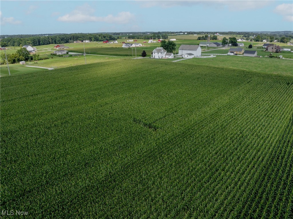 Hoy Road, Fredericksburg, Ohio image 3