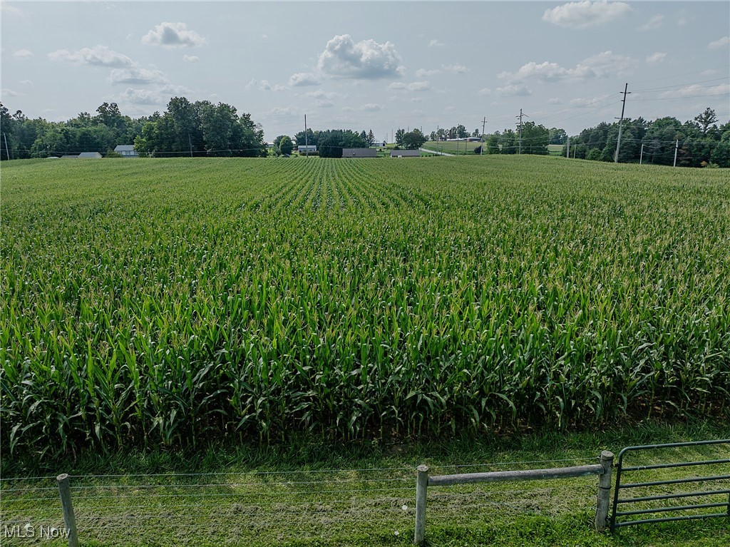 Hoy Road, Fredericksburg, Ohio image 4