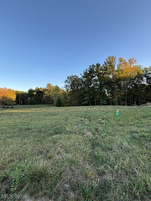 8801 GLEN HALLOW, BROADVIEW HEIGHTS, OH 44147 - Image 89fc100bbfa34ec8de30678c03fffd18/1217236873