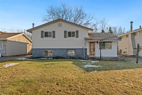 4142 Holl Avenue Sheffield Lake OH 44054