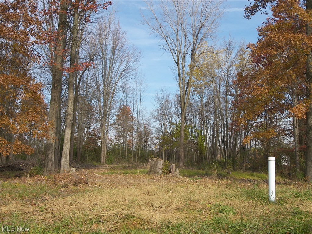 Oberlin Reserve Sub - Land