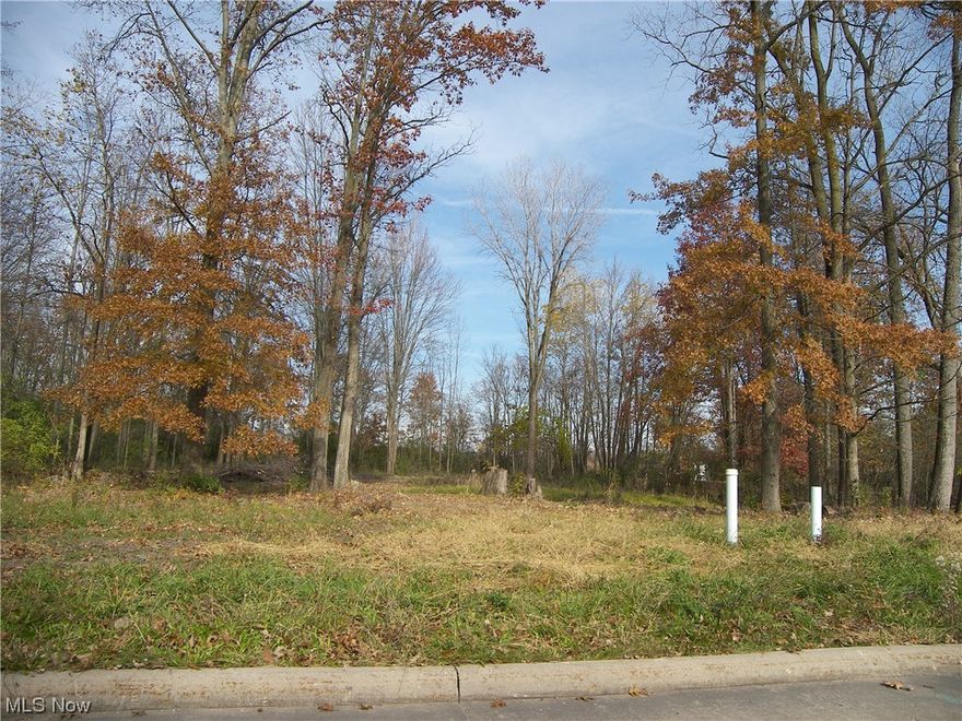 Close enough to downtown Oberlin being just a short bike ride away this over 1/2 ac lot awaits you to build your new home. Backs up to splash Zone. area. Utilitites are at the street, water, sewers and gas.