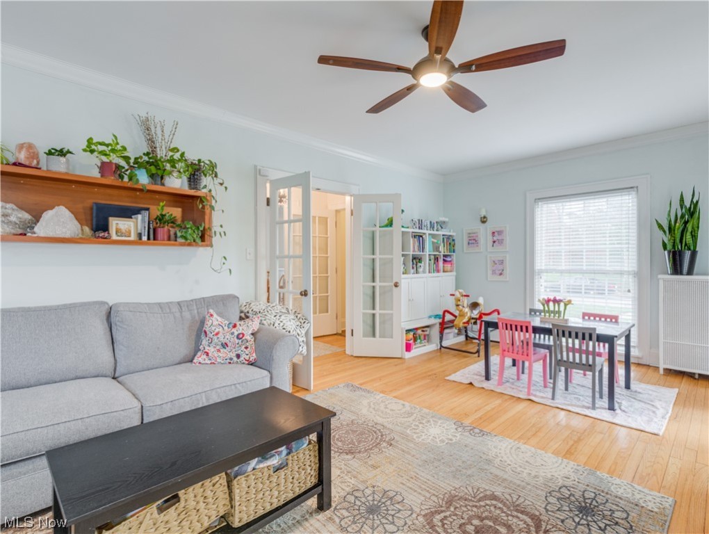 Avalon Road - Residential