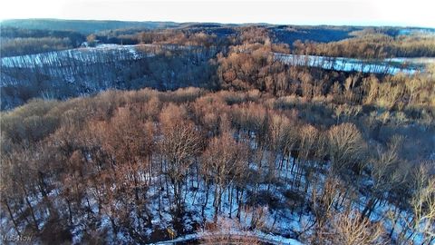 Tiny photo for Township Rd. 164, Salineville, OH 43945 (MLS # 5178191)