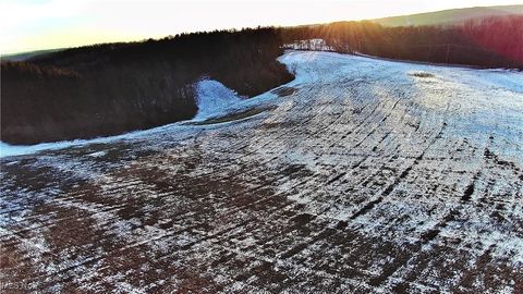 Tiny photo for Township Rd. 164, Salineville, OH 43945 (MLS # 5178191)