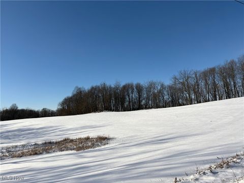Tiny photo for Township Rd. 164, Salineville, OH 43945 (MLS # 5178191)