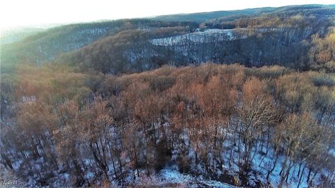 Tiny photo for Township Rd. 164, Salineville, OH 43945 (MLS # 5178191)