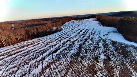 Tiny photo for Township Rd. 164, Salineville, OH 43945 (MLS # 5178191)