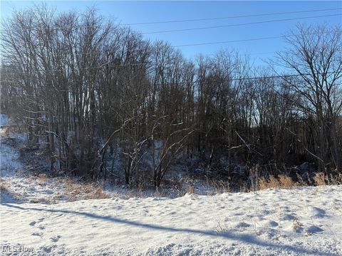 Tiny photo for Township Rd. 164, Salineville, OH 43945 (MLS # 5178191)