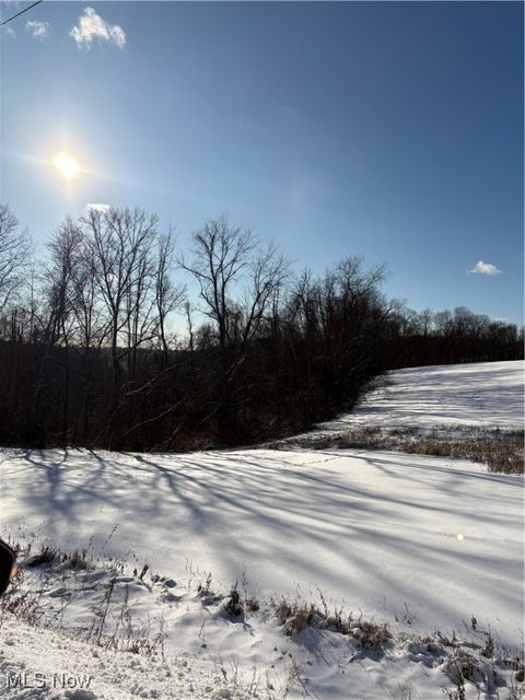 Tiny photo for Township Rd. 164, Salineville, OH 43945 (MLS # 5178191)
