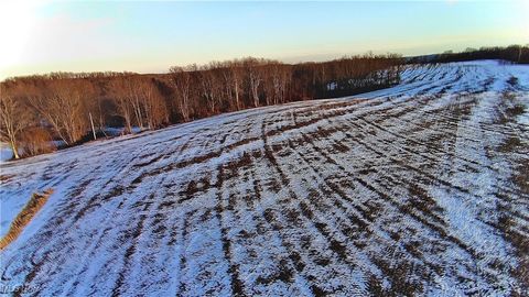 Tiny photo for Township Rd. 164, Salineville, OH 43945 (MLS # 5178191)