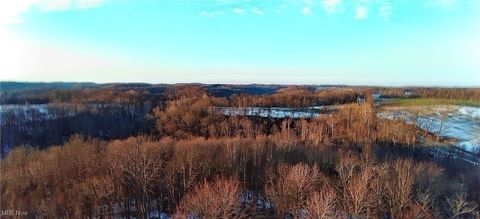 Tiny photo for Township Rd. 164, Salineville, OH 43945 (MLS # 5178191)