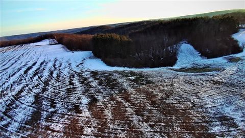 Tiny photo for Township Rd. 164, Salineville, OH 43945 (MLS # 5178191)