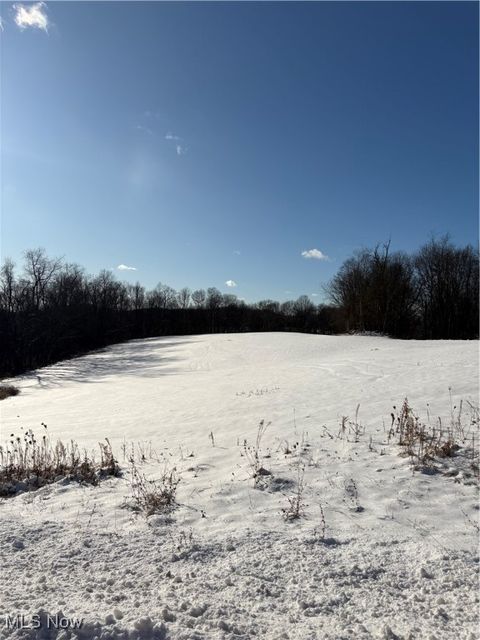 Tiny photo for Township Rd. 164, Salineville, OH 43945 (MLS # 5178191)