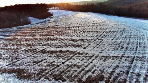 Tiny photo for Township Rd. 164, Salineville, OH 43945 (MLS # 5178191)