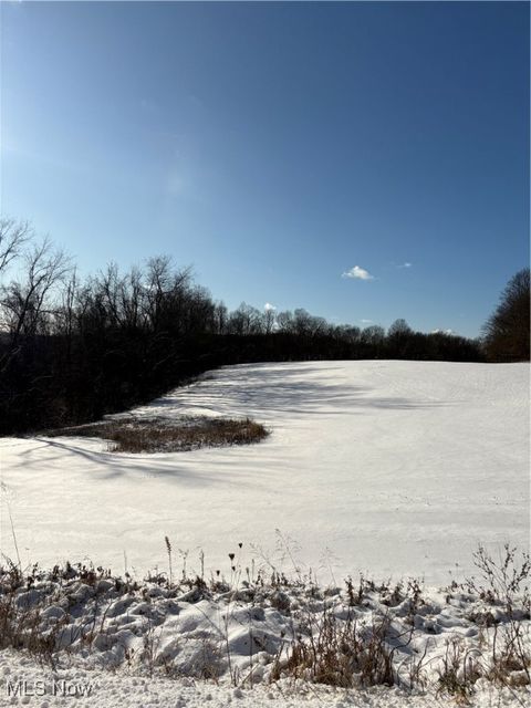 Tiny photo for Township Rd. 164, Salineville, OH 43945 (MLS # 5178191)