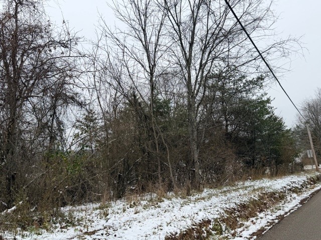 Bailey Road