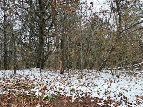 Vacant Land For Sale - Bailey Road<br/> Elizabeth, WV 26143