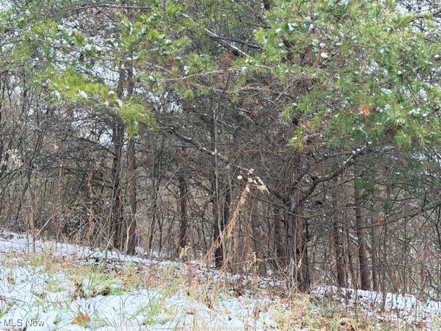 Bailey Road