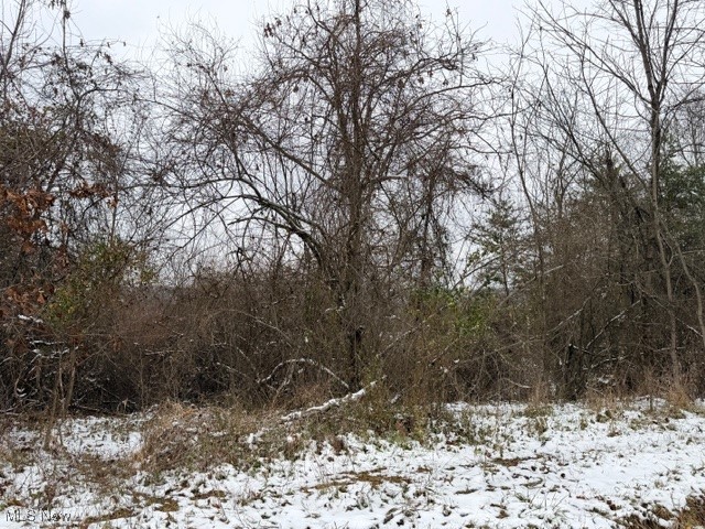 Bailey Road