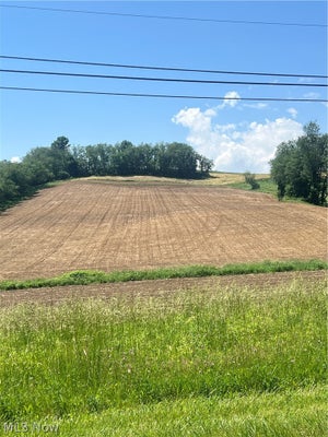 BLACKSNAKE HILL RD, DOVER, OH 44622 - Image 8a3703542e4493a444e0bd0ed8a1d2fe/2134405699
